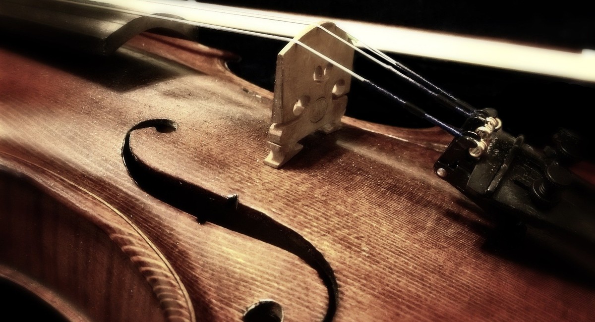 Скрипку «Страдивари», украденную у нижегородца, вернут обратно и передадут музею Скрипку «Страдивари», украденную у нижегородца, вернут обратно и передадут музею