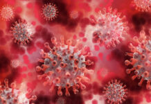 Учёные Техасского университета выявили устойчивый к антителам штамм COVID-19