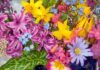 Цветы: часть любого праздника