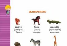 С чего начать учить английский язык с ребенком?