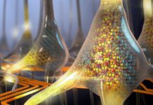 Эффективность нейронных сетей в медицине