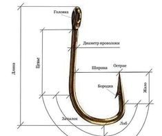 Критерии выбора рыболовного крючка