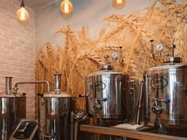 Мини-пивоварня: первый шаг к настоящему пиву