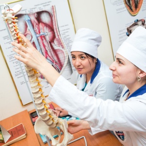 Для чего нужны анатомические модели в медицинских институтах?