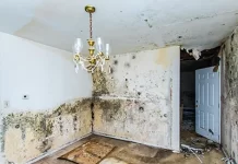 Почему появляется плесень в квартире?