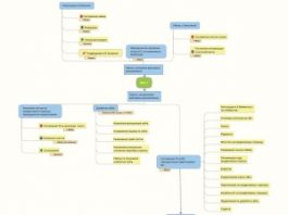 Этапы продвижения сайта: пошаговая инструкция