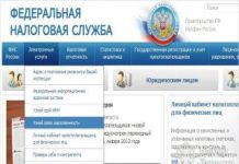 Как проверить задолженность перед выездом за границу?