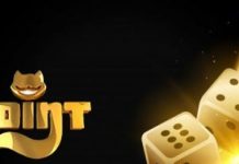 Онлайн-казино Поинт Лото: что нужно знать новичкам?