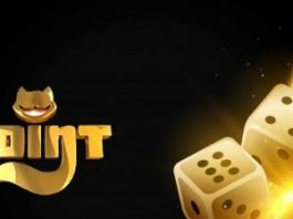 Онлайн-казино Поинт Лото: что нужно знать новичкам?