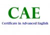 Как эффективно подготовиться к экзамену CAE по английскому онлайн