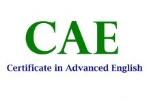 Как эффективно подготовиться к экзамену CAE по английскому онлайн