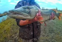 Рыбалка в Астраханской области в лучших местах