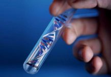 Когда делают ДНК тесты на отцовство?