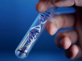 Когда делают ДНК тесты на отцовство?