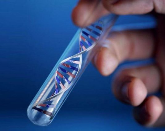 Когда делают ДНК тесты на отцовство?