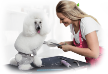 Какие инструменты нужны для груминга?