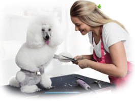 Какие инструменты нужны для груминга?