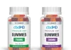 Different Ingredients of CBD Gummies Tinnitus