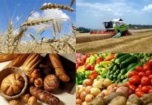 Где и какие товары для растениеводства купить?