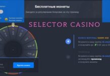 Что предлагает игрокам казино Selector?