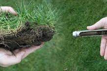 Комплексный анализ почвы: полезный инструмент для определения причин снижения питательных веществ и загрязнения