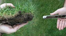 Комплексный анализ почвы: полезный инструмент для определения причин снижения питательных веществ и загрязнения