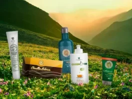 Как создать свой сайт бесплатно: несколько простых шагов