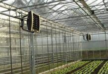 Область применения тепловентиляторов VOLCANO