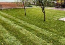 Технология укладки рулонного газона