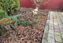 Мульчирование почвы: особенности использования коры хвойных деревьев