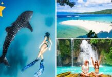 Виды экскурсий на острове Себу