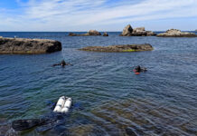 Как обучиться дайвингу