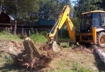 Как правильно и быстро удалить пни с участка