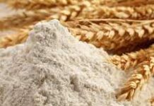 Что такое пшеничный глютен и его применение