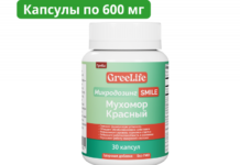 Микродозинг красных мухоморов: польза или вред?