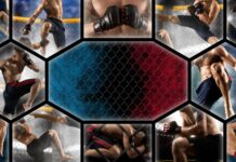 Выбор вида единоборства: навигируя через множество опций к своему идеальному стилю