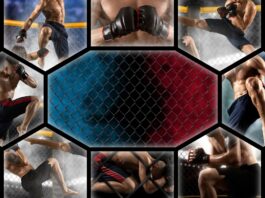 Выбор вида единоборства: навигируя через множество опций к своему идеальному стилю