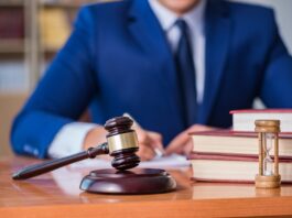 Защитник ваших прав: роль и значимость юриста по РНП