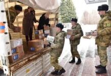 Помощь СВО: как каждый может внести свой вклад в общественную работу и способы содействия