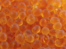 Силикагель: применение и свойства драже в мире сорбентов