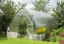 Теплицы из поликарбоната: преимущества, особенности использования и советы по выбору