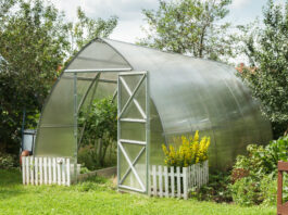 Теплицы из поликарбоната: преимущества, особенности использования и советы по выбору