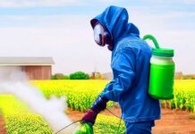 Инсектициды: классификация, особенности применения и меры безопасности