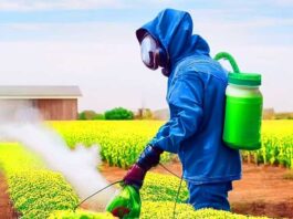 Инсектициды: классификация, особенности применения и меры безопасности