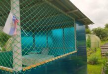 Использование пластиковых сеток и решеток в строительстве и сельском хозяйстве: обзор возможностей и преимуществ