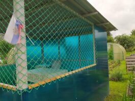 Использование пластиковых сеток и решеток в строительстве и сельском хозяйстве: обзор возможностей и преимуществ