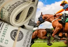 Что такое тотализатор и как он работает?