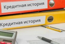 Какие микрозаймы не отображаются в кредитной истории?