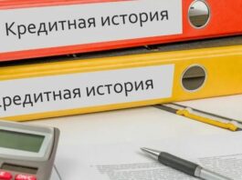 Какие микрозаймы не отображаются в кредитной истории?