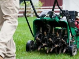 Садовый аэратор: зачем он нужен и как его использовать